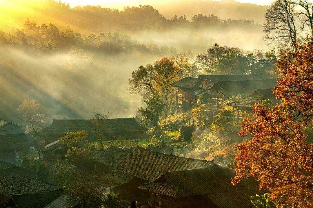 “小溪印象”湖南小溪國(guó)家級(jí)自然保護(hù)區(qū)攝影、短視頻和經(jīng)典美文征集活動(dòng)征稿啟事(圖9)