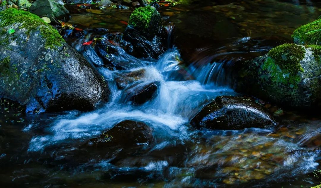 “小溪印象”湖南小溪國(guó)家級(jí)自然保護(hù)區(qū)攝影、短視頻和經(jīng)典美文征集活動(dòng)征稿啟事(圖13)